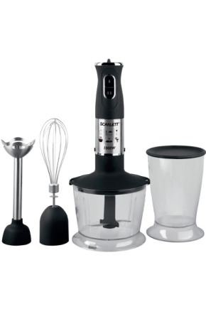  Immersion blender with a whisk