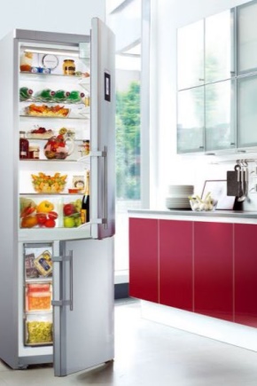 Liebherr frigider cu două compartimente