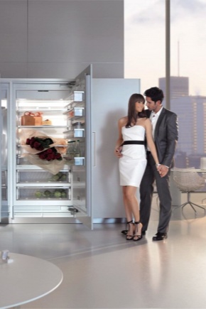  Siemens fridge