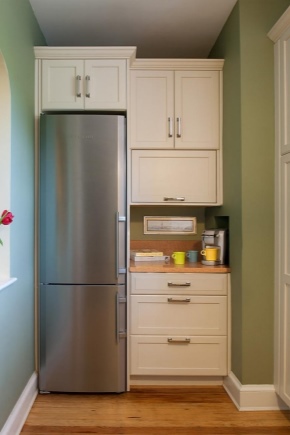 Refrigeradores estrechos de hasta 45 cm de ancho (39 fotos): modelos  estrechos y altos