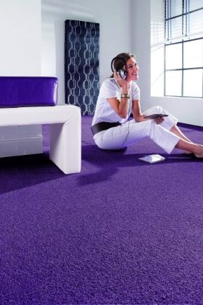 Carpet: features and application in the interior