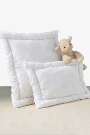  Features of the choice of baby pillows
