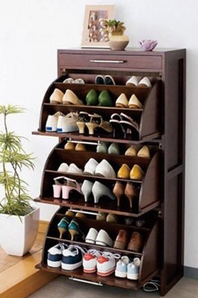  Gabinetes de zapatos
