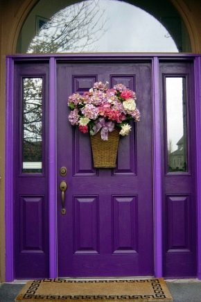  Wooden entrance doors for private houses