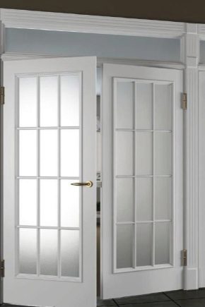  How to remove the door from the hinges?