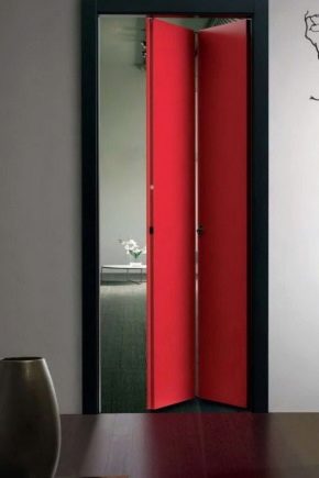 Interior doors-books: features and design