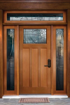  Features of entrance doors with glass