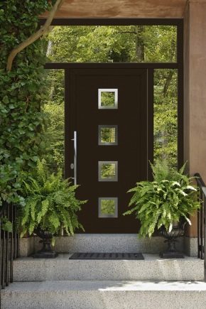  Plastic entrance doors: features of choice