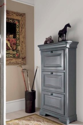  Narrow dressers for a hall: features of the choice