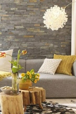  Décorer les murs dans le salon en pierre décorative