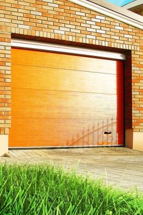  Garage dörrar Alutech: fördelar och nackdelar