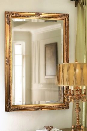  How to choose a mount for a mirror on the wall?