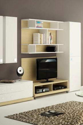  Cabinet furniture for the living room: beautiful options in the interior