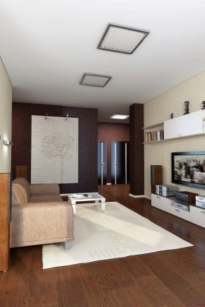 Pembaikan dewan di sebuah apartmen seluas 18 meter persegi. m: perancangan dan pengezonan ruang