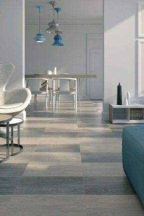  Kerama Marazzi floor tiles: beautiful ideas in the interior
