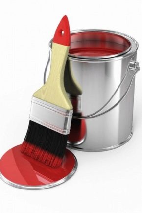 Rubber paint: characteristics and scope