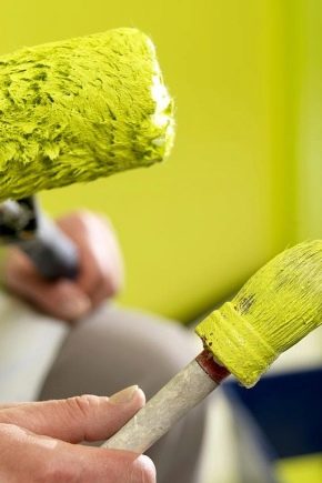  Subtleties of painting walls with water-based paint