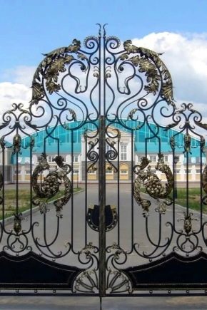 Gates with forging elements: types and rules of care