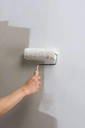  Sơn lót trước khi sơn: làm thế nào để chuẩn bị các bức tường và trần nhà?