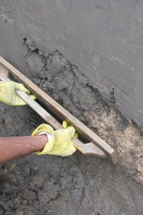  Cementa apmetuma sienu īpašības