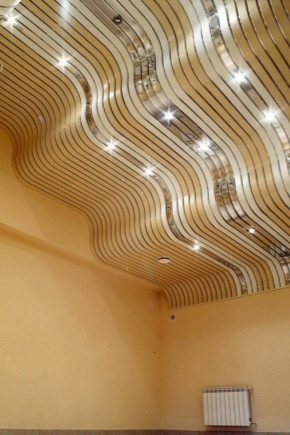  Plafonds Albes: variétés et caractéristiques d'installation