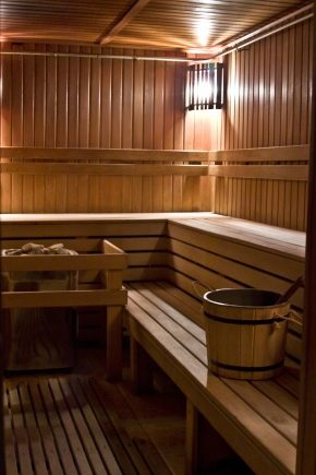  Finnish bath: features and ideas of arrangement