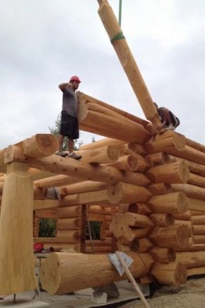  ¿Cómo construir un baño a partir de un tronco redondeado?