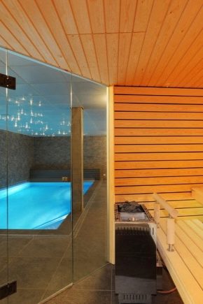  Projectbad met een zwembad: voorbeelden van ontwerp