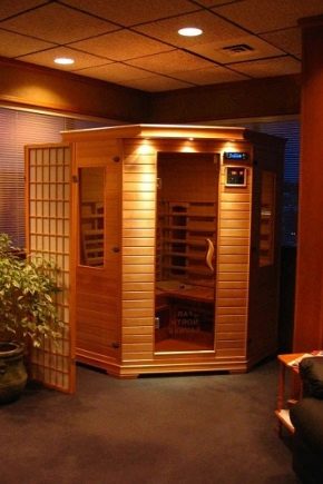  The subtleties of the design of the sauna in the apartment