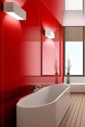  Garniture de salle de bain avec panneaux en plastique: idées de design