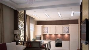 Kitchen-living room design