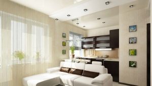  Dvouúrovňové stropy pro kuchyň a obývací pokoj