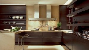  How to choose a hood in the kitchen? Professional Tips