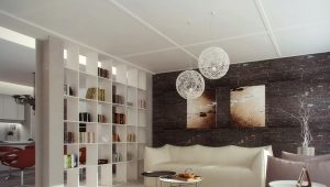  Design studio apartment of 20 square meters. m