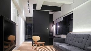  Design studio apartment of 24 square meters. m
