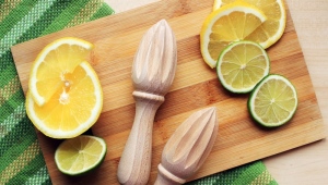  Manual de juicer citrice