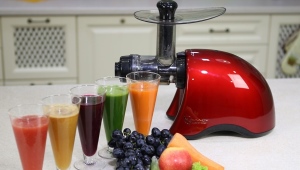  Hur man väljer en juicepress för grönsaker och frukter