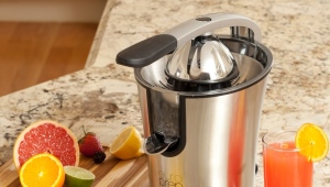  The best citrus juicers from famous brands