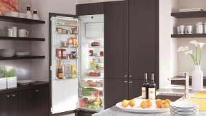  Single chamber refrigerator with freezer