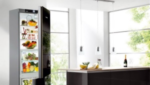  Ranking av de bästa tvåkammaren kylskåp