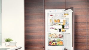  Rating of the best refrigerators No Frost