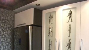  Narrow models of refrigerators
