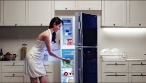  Хладилници Toshiba