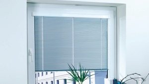  Windows with integrated blinds