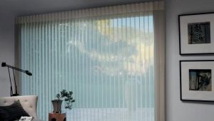  Blinds in the bedroom