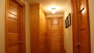  How to choose doors from solid pine?