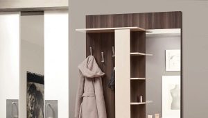  Tủ quần áo hẹp ở hành lang