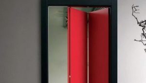  Interior doors-books: features and design