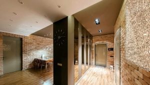  Dělat dekorativní kámen v chodbě: nápady v interiéru
