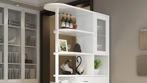  Partition Cabinets
